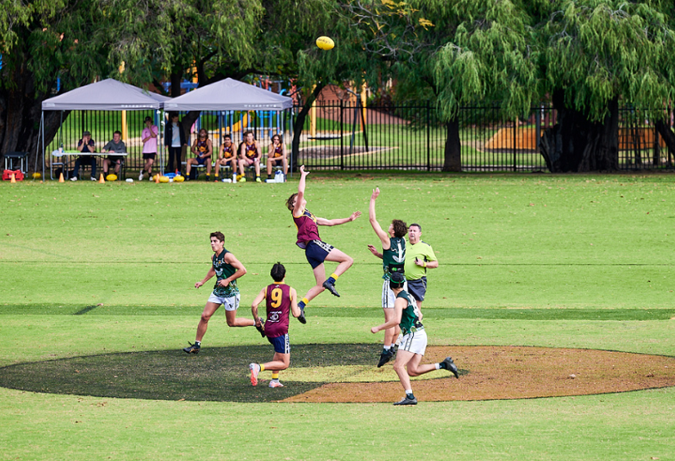 Website Indigenous History (1)