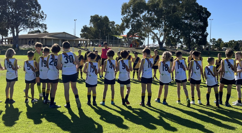 Website Hero (1000 X 550Px) (5)